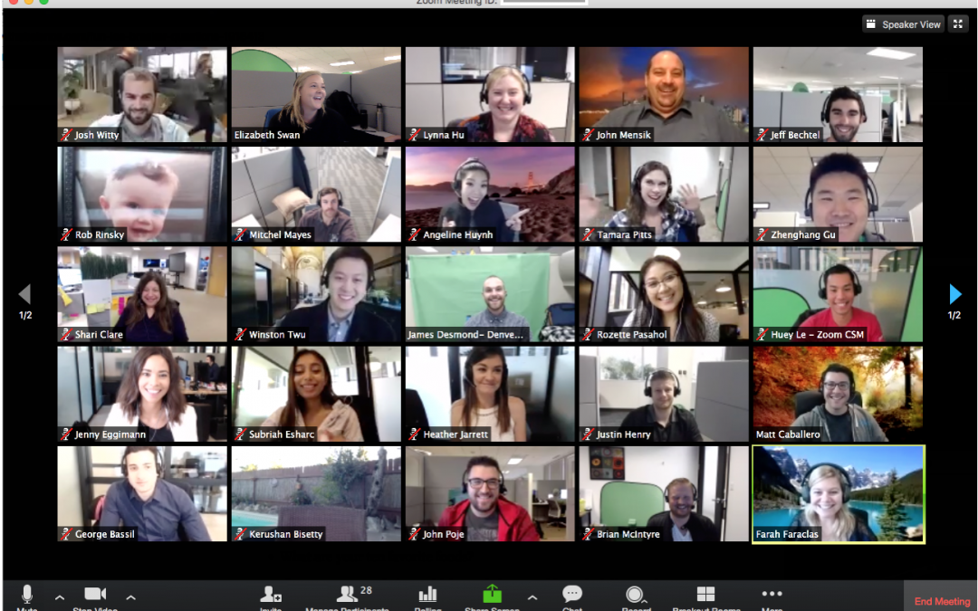 ADUNAREA GENERALĂ A APS VA AVEA LOC ONLINE!