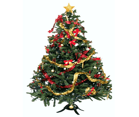 FC LIVERPOOL, în 	România anului 1936