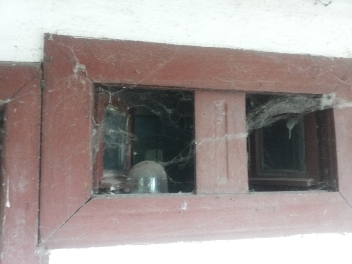 Utilizarea sportului pentru combaterea inechităţilor de gen