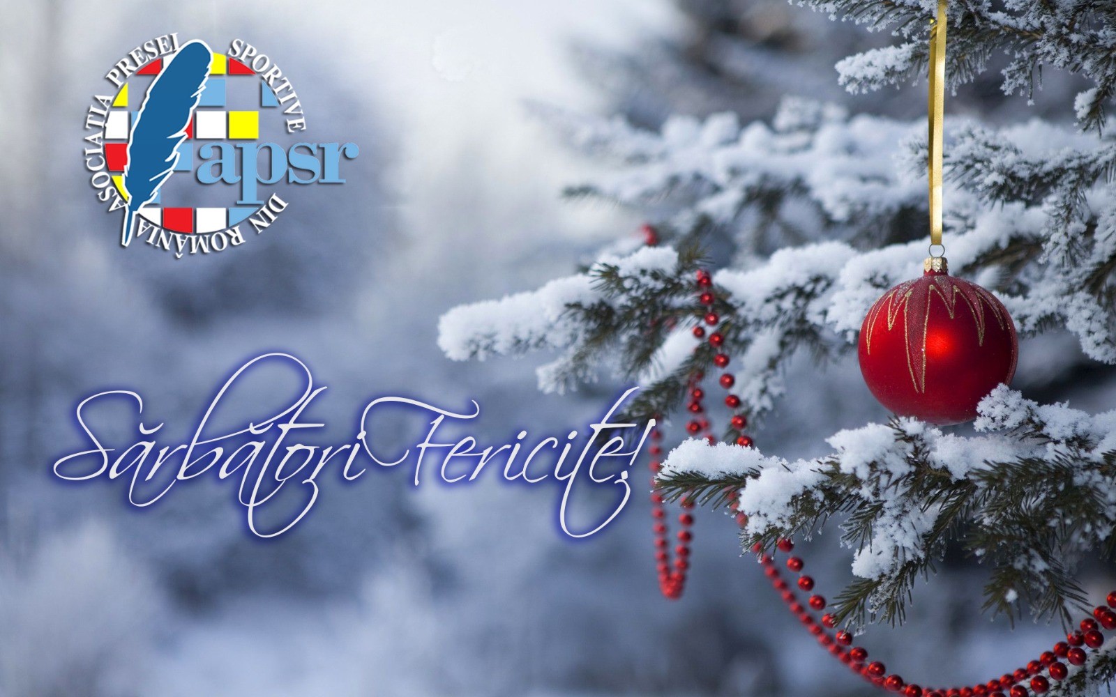 SĂRBĂTORI FERICITE!